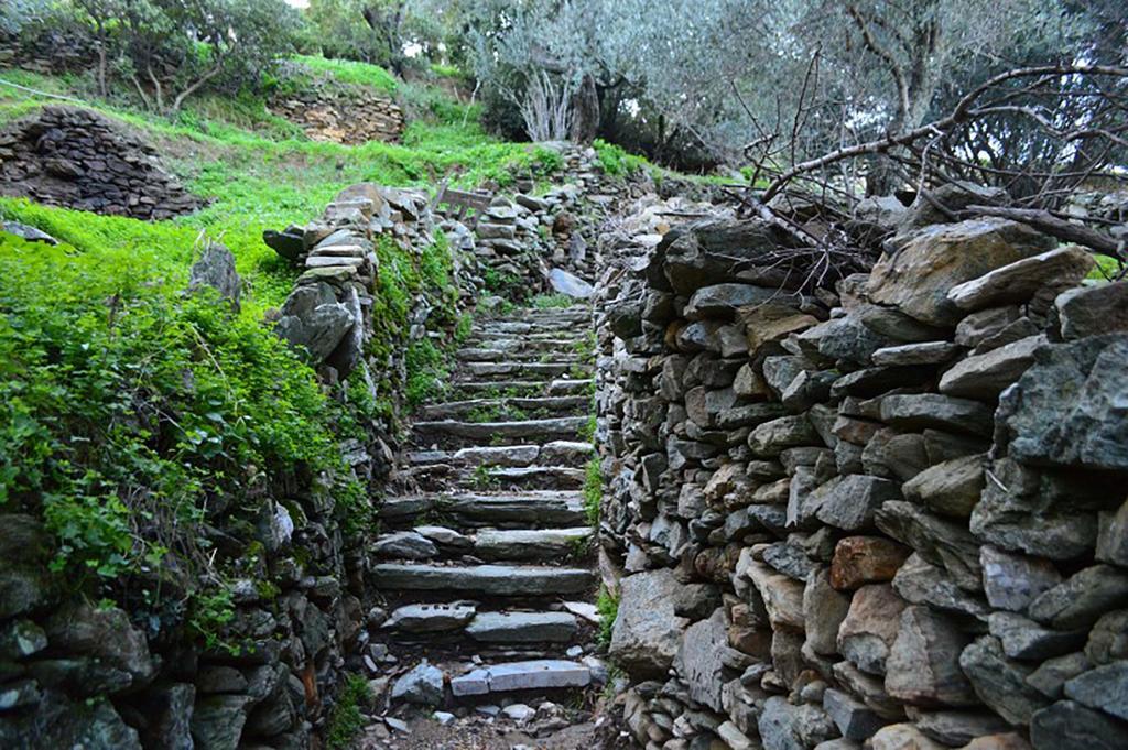 Andros Maisonettes Áyios Pétros 외부 사진